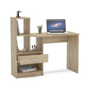 Escritorio León Paris con laptop y accesorios – mesa de estudio organizada